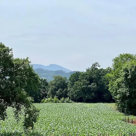 Casa Hazas - Monabri Hazas de Cesto